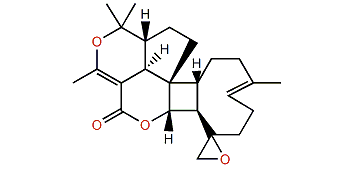 Antheliolide B